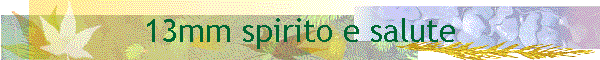 13mm spirito e salute
