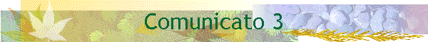 Comunicato 3