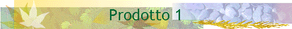 Prodotto 1