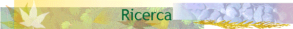 Ricerca